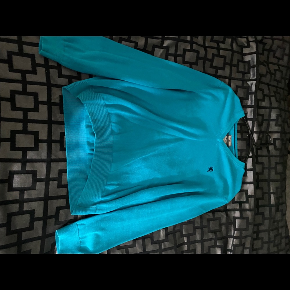 Express Long Sleeve V neck Sweater